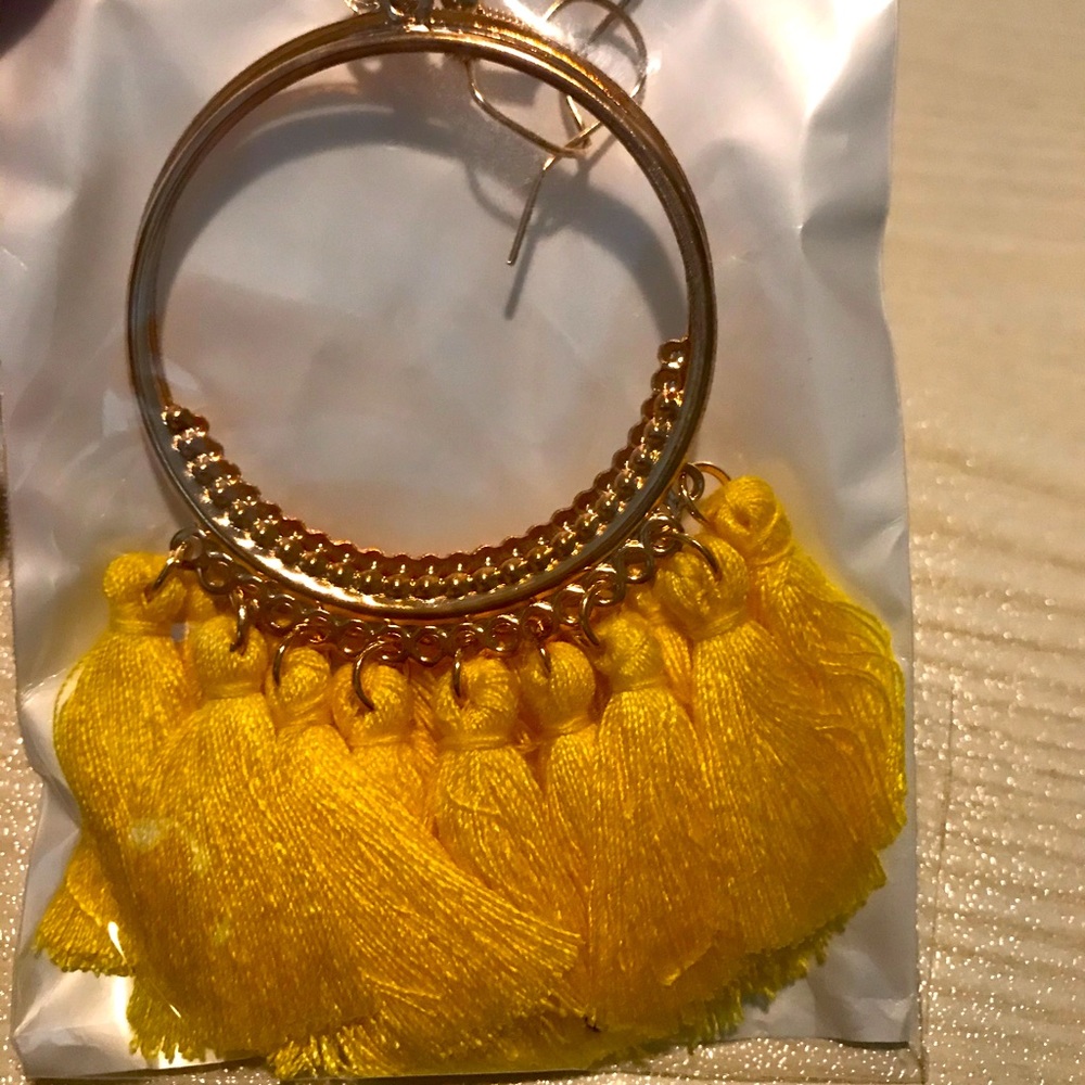New in pack beautiful tassel earrings. Never worn.
